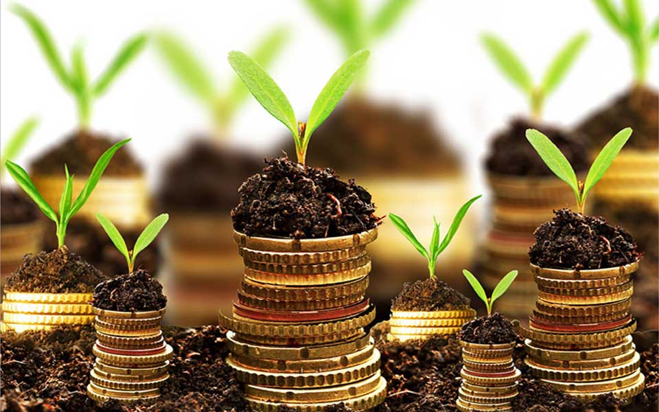 depberjangka